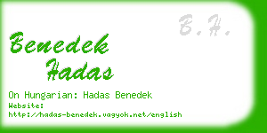 benedek hadas business card